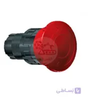 امرجنسی قارچی رعد ESTR