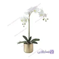 گل ارکیده تک شاخه ORK06