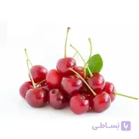 نهال آلبالو محلی