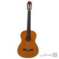 گیتار کلاسیک فرد