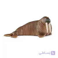 فیل دریایی اشلایش 14803