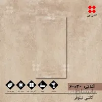 آتنا کرم تیره 30×60 براق درجه 2