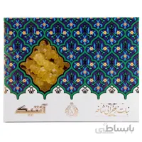 نبات شاخه ای آنتیک 450 گرمی کد N-4