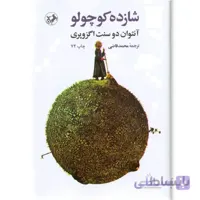 کتاب شازده کوچولو اثر آنتوان دوسنت اگزوپری