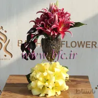 جام شیشه ای با لیلیوم و شیپوری
