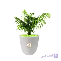 گیاه طبیعی شامادورا بزرگ مدل GN13-22L