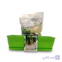 پکیج پیازچه