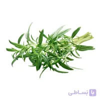 بذر مرزه