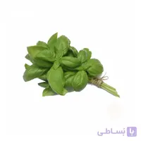 بذر ریحان سبز کد 331279