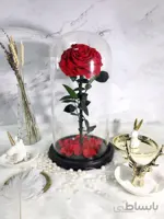 باکس استوانه شیشه ای گل رز جاودان قرمز