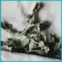 دمنوش به لیمو 200 گرمی