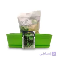 پکیج شاهی