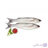 ماهی گاریز