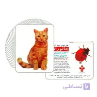 کارت دید آموز جانوران