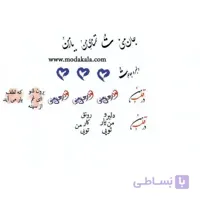 لنز ناخن شماره 331