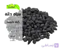 سیاه دانه(هندی)