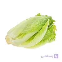 بذر کاهو رسمی
