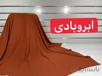 ابروبادی آجری