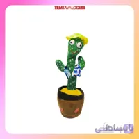 کاکتوس رقاص کلاه زرد