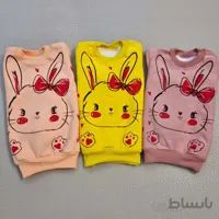 بلوز خرگوش لاینردار