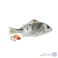 ماهی سنگسر
