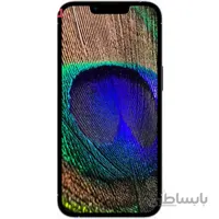 گوشی اپل iPhone 13 Pro Max (Not Active) | حافظه 1 ترابایت ا Apple iPhone 13 Pro Max (Not Active) 1 TB