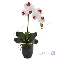گل ارکیده تک شاخه ORK05