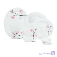 سرویس غذاخوری آیروپال مدل روشنک