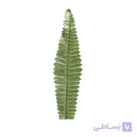 گياه مصنوعی مدل سرخس كتابي -بسته 10 عددی