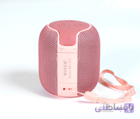 اسپیکر بلوتوثی مینیاتوری قابل حمل برند وستر WSTER مدل WS-305