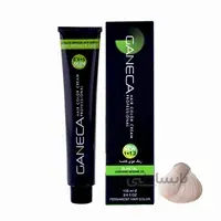 رنگ مو گانسا شماره 10.1 حجم 100 میلی لیتر رنگ بلوند دودی خیلی خیلی روشن ا GANECA Hair Color Cream 100ml Ultra Lighte Smoky Blonde No:C10_10.1