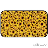آبگیر آشپزخانه رنس مدل W1-100806