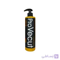 ماسک مو تقویت کننده پروویکات حاوی روغن آرگان ا Provecut Argan Hair Mask Professional