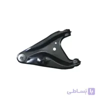 طبق ساندرو راست شرکتی - ایران