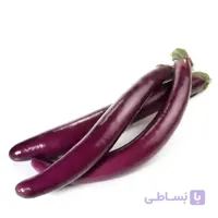 بذر بادمجان بنفش بلند