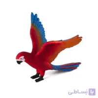 طوطی 387263 – حیوانات موجو
