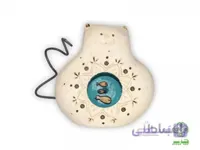 گربه ماهی بدل| 2022
