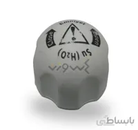پوکه در اتو سیلتر