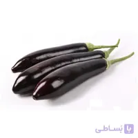 بذر بادمجان قلمی فلوریدا مارکت