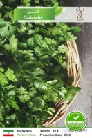 بذر گشنیز