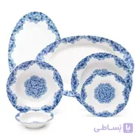 سرویس 28 پارچه چینی زرین سری ایتالیا اف مدل گلشید درجه یک