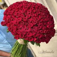 دسته گل رز قرمز۲۰۰شاخه