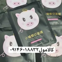 ماسک ورقه ای خوک ایمجز