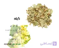 گیاه زیرفون