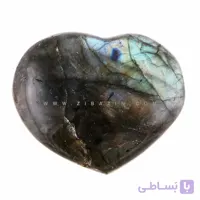 راف قلب لابرادوریت