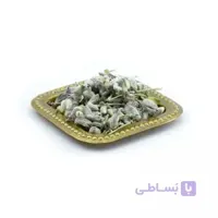 مریم گلی