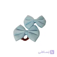 کش مو پاپیونی بسته 2 عددی کد 01
