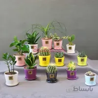 هدیه تبلیغاتی رنگارنگ