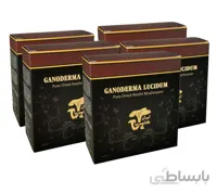 قارچ گانودرما سالم – بسته ۵۰۰ گرمی