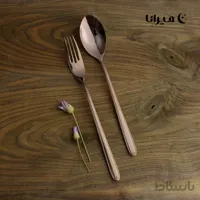 سرویس قاشق و چنگال ۳۰ نفره تمام براق رزگلد برند ورسا مدل ویتنام